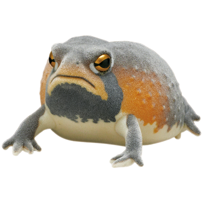 自然多彩 FLOCKY 浑身泥土的鼓腹蛙