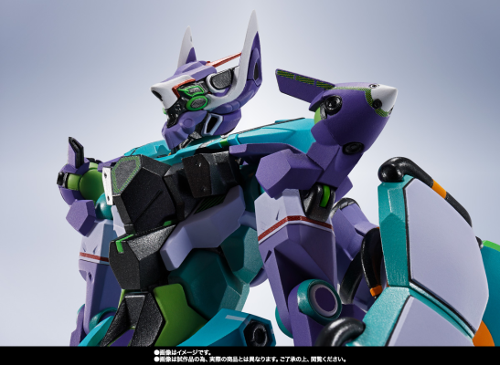 METAL ROBOT魂 ＜SIDE MS＞  G弗雷德