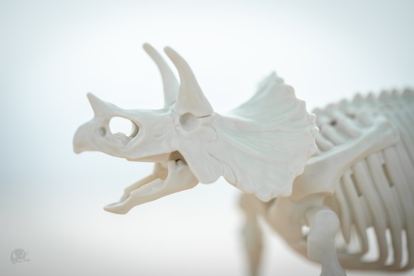 恐龙拼装模型 三角龙