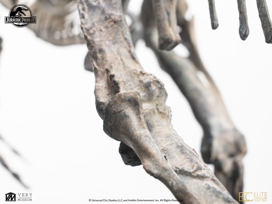 侏罗纪公园 3 青铜棘龙骨架 1/12 比例模型