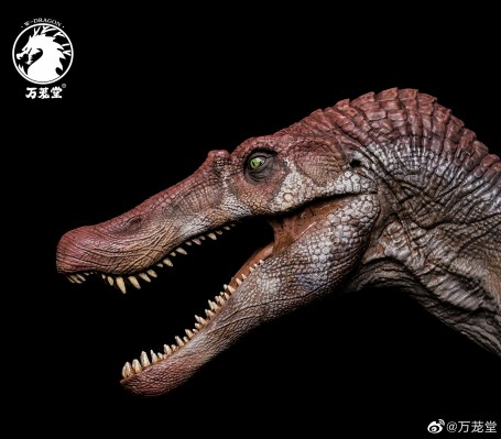 万茏堂 棘龙 1:35模型