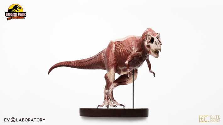 侏罗纪公园 1:12 比例解剖图霸王龙