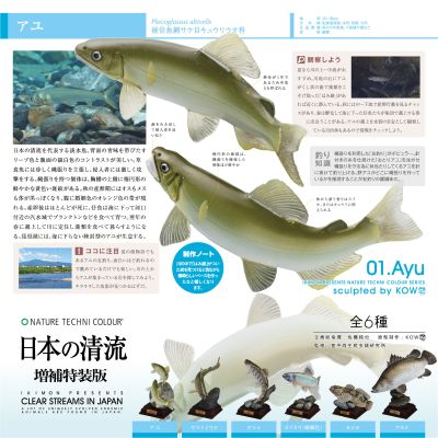 NTC 日本清流 特别版