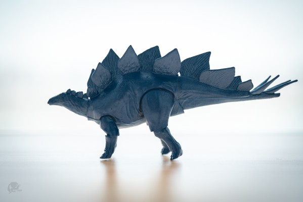 恐龙拼装模型 剑龙