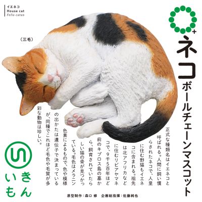 NTC MONO+  猫咪球链挂饰