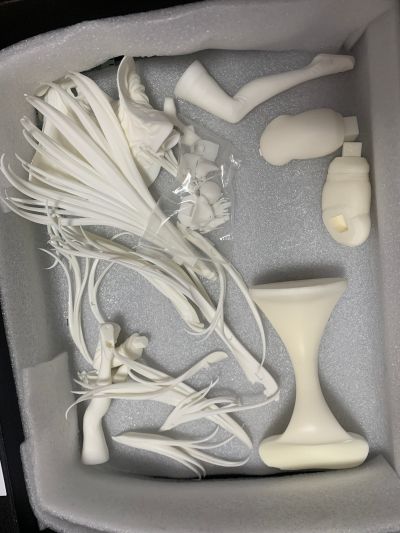 碧蓝航线 大凤 恋慕伴侣