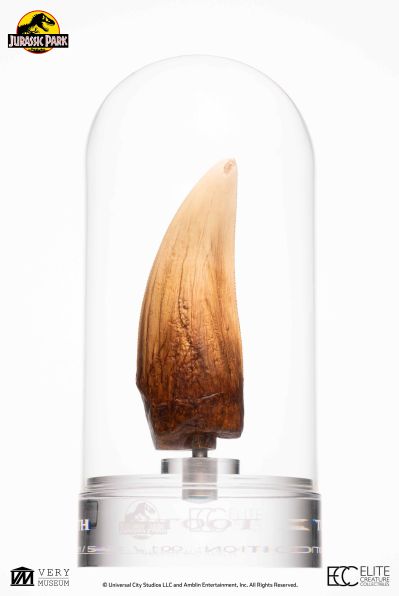 侏罗纪公园霸王龙牙齿复制品