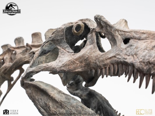 侏罗纪公园 3 青铜棘龙骨架 1/12 比例模型