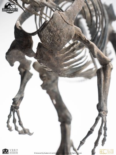 侏罗纪公园 3 青铜棘龙骨架 1/12 比例模型