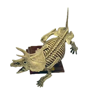 自然科技色彩 古生物