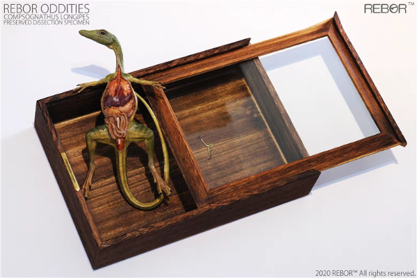 奇异系列 秀颚龙