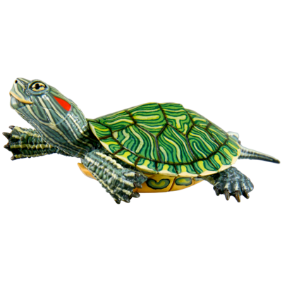 NTC 日本海龟 特装版