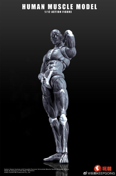 《Human Muscle Model》1:12超可动人偶 灰色