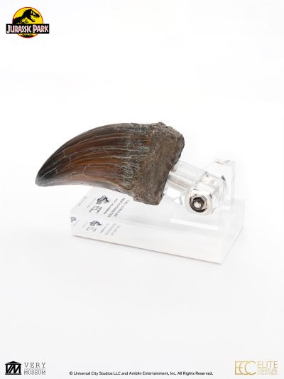 霸王龙手爪道具复制品