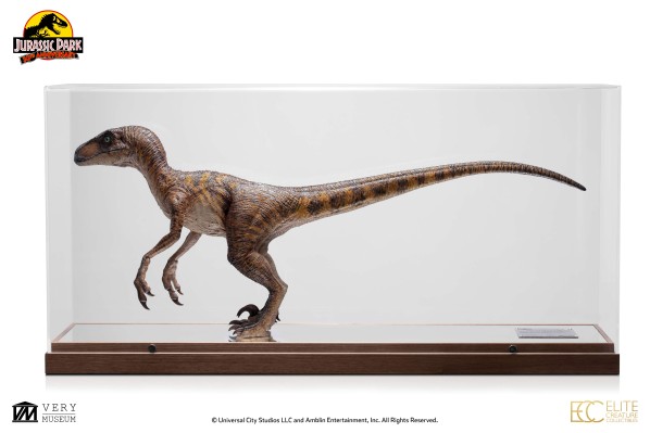 《侏罗纪公园》1:4比例迅猛龙原型雕塑