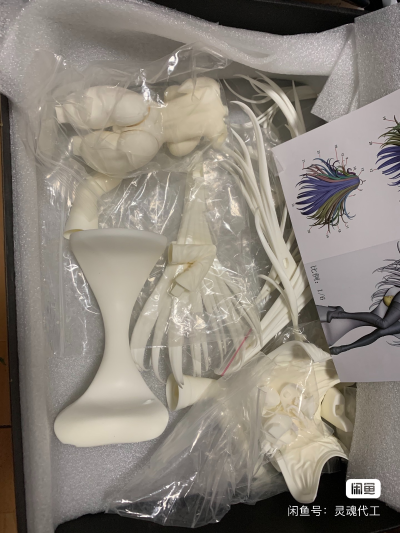 碧蓝航线 大凤 恋慕伴侣