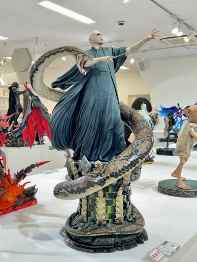 哈利·波特 伏地魔