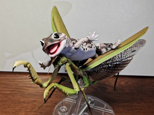 进化生物大图鉴 肥尾壁虎