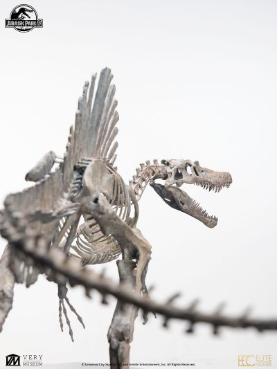 侏罗纪公园 3 青铜棘龙骨架 1/12 比例模型