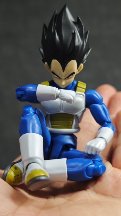 S.H.Figuarts 贝吉塔-龙珠大魔-