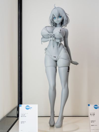 B-style 兔女郎服装计划 索菲亚 黑色比基尼