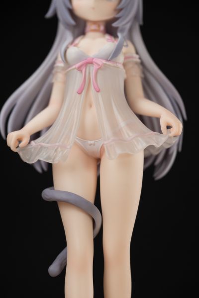 家有猫猫  糯米米&手感漆