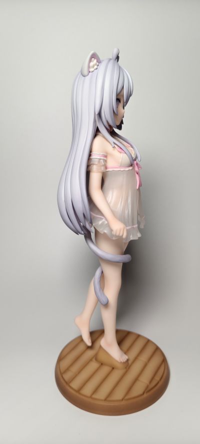 家有猫猫  糯米米&手感漆