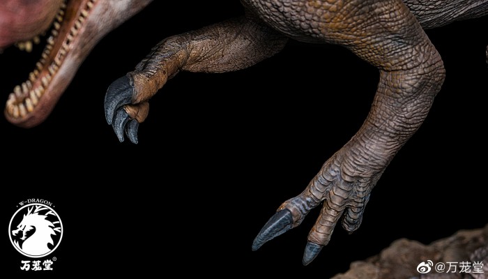 万茏堂 棘龙 1:35模型