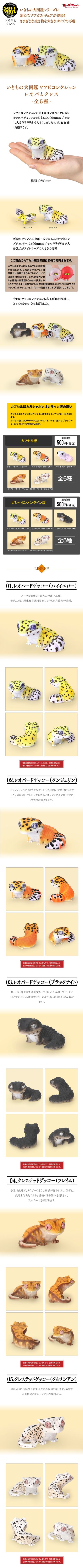 生物大图鉴 软胶收藏系列 豹纹守宫与睫角守宫