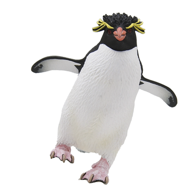 自然彩色科技 南极 特装版