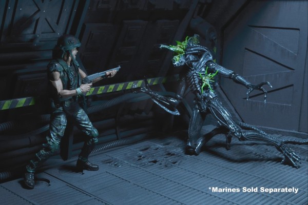 《异形》第十二系列 - 战损版异形战士7英寸比例可动人偶（蓝色）