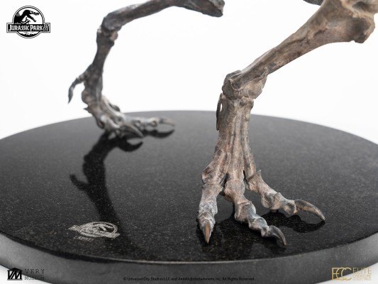 侏罗纪公园 3 青铜棘龙骨架 1/12 比例模型