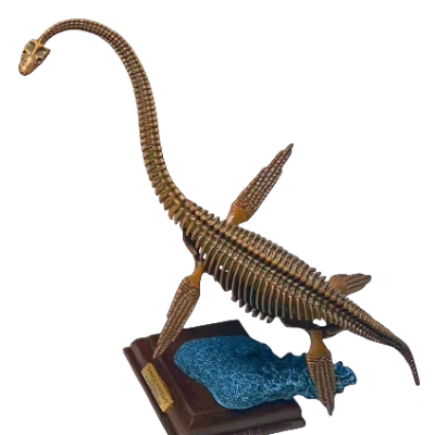 自然科技色彩 古生物