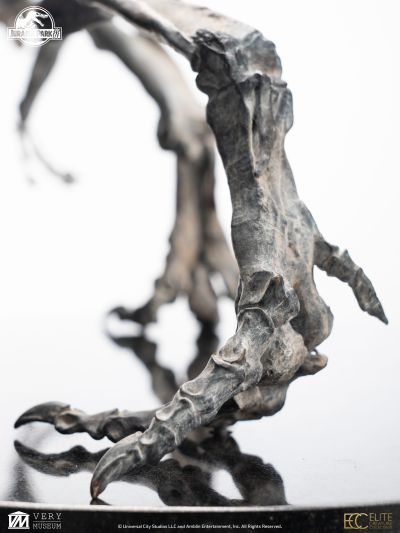 侏罗纪公园 3 青铜棘龙骨架 1/12 比例模型