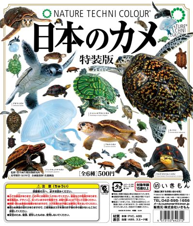 NTC 日本海龟 特装版