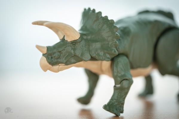 恐龙拼装模型 三角龙