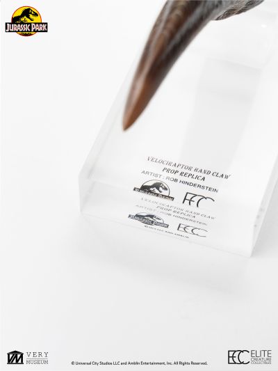 迅猛龙手爪模型复制品