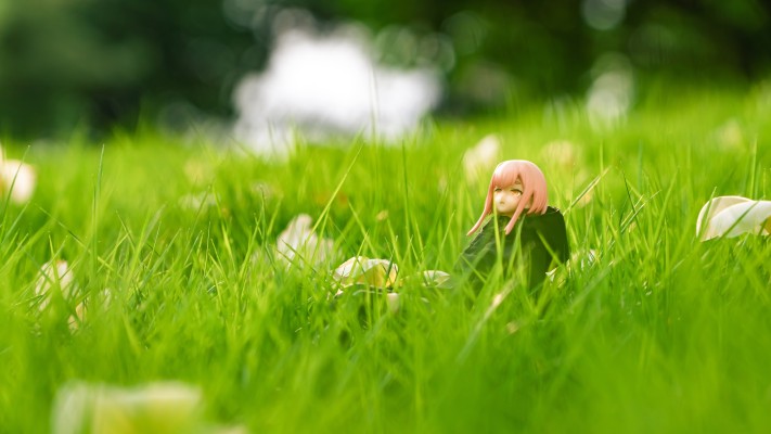 figma Styles  机能服