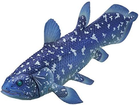 NTC MONO+深海生物磁铁与球链