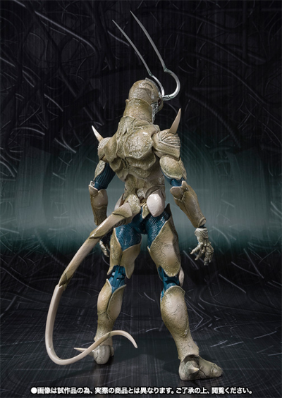 S.H.Figuarts 多拉斯