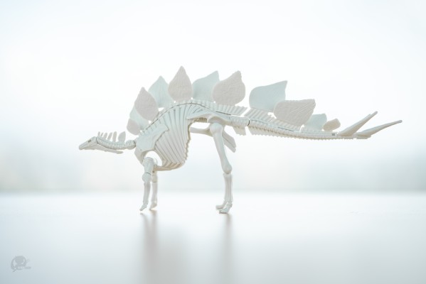 恐龙拼装模型 剑龙