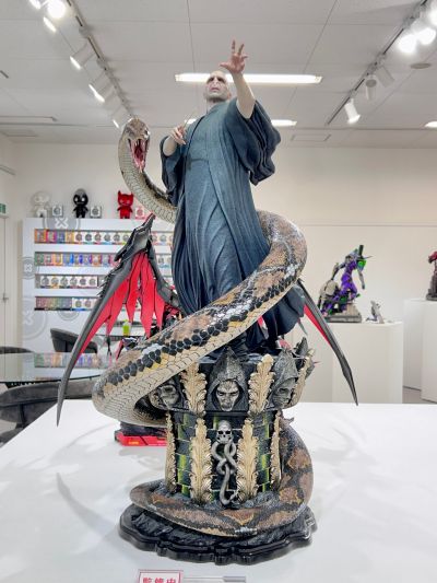 哈利·波特 伏地魔