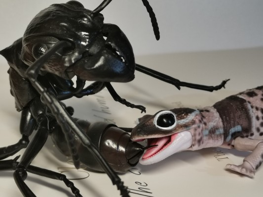 进化生物大图鉴 肥尾壁虎