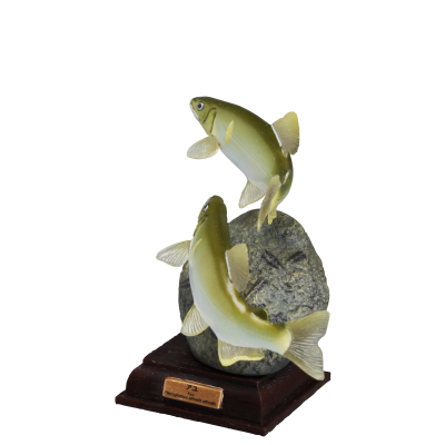 NTC 日本清流 特别版