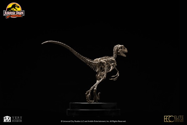 侏罗纪公园 1：8 比例迅猛龙骨架青铜制品