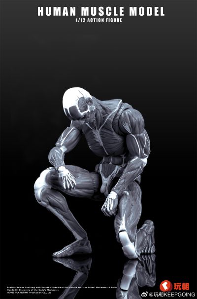 《Human Muscle Model》1:12超可动人偶 灰色