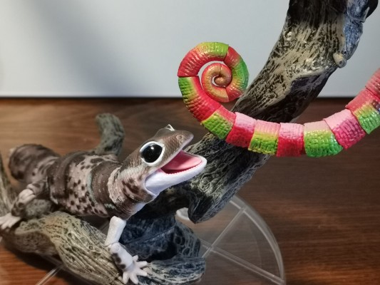 进化生物大图鉴 肥尾壁虎