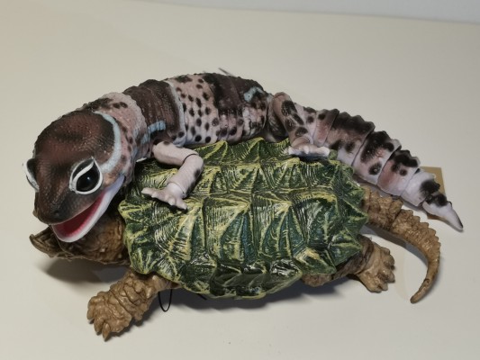 进化生物大图鉴 肥尾壁虎