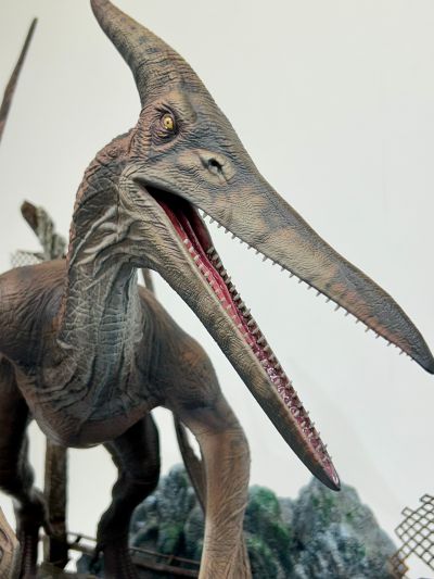 侏罗纪公园III 翼龙