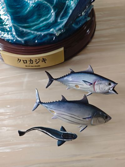 NATURE TALES 蓝枪鱼